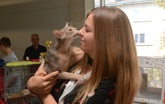 � ���������� ��������� ������ ����� ������