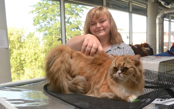 � ���������� ��������� ������ ����� ������