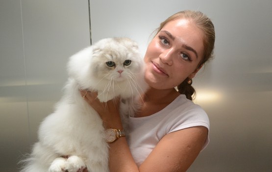 � ���������� ��������� ������ ����� ������