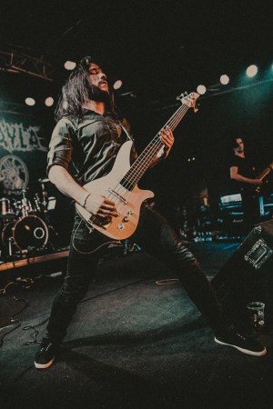 Puffin: ��������� ����������� � ��� ��� ������ �����