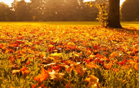 �� ������� ����� ���������� ������ ��������� ����������������� �����