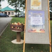 ������: �������������� �����, ������ ������� � ����� ����������