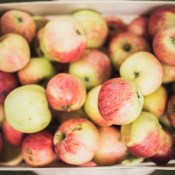 ������: �������������� �����, ������ ������� � ����� ����������