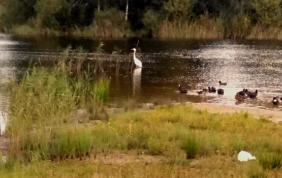 �� ����� ������ ���������� �����