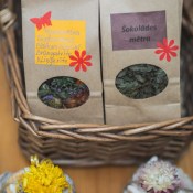 ������: �������������� �����, ������ ������� � ����� ����������