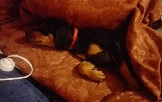 ������� ������ �������������� ������ �������� ����� 