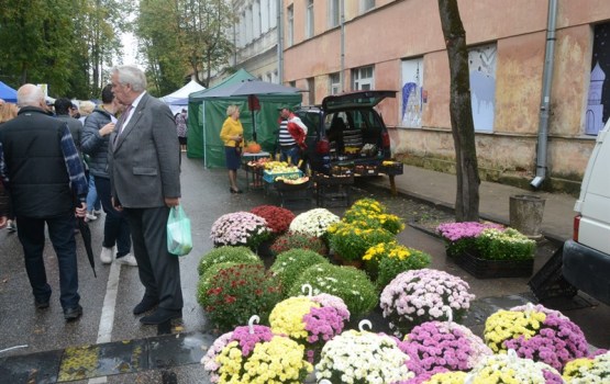 Улица Ригас угостила и порадовала на славу! (ФОТО)