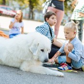 ������� �����: ������ ��� � ������� ��������