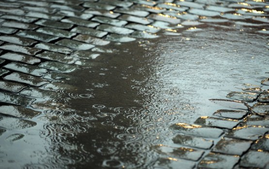 ��� ������ �������� ������� � ������ ����� ���������� �������