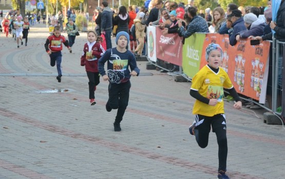 ��������� 53-�� ����� ����������� � �������� (����)