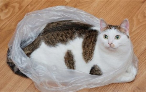 ���������� ������ �� ��������� �� ��������