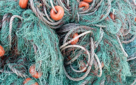 ��� ���������� ���������� �� 192 000 ����