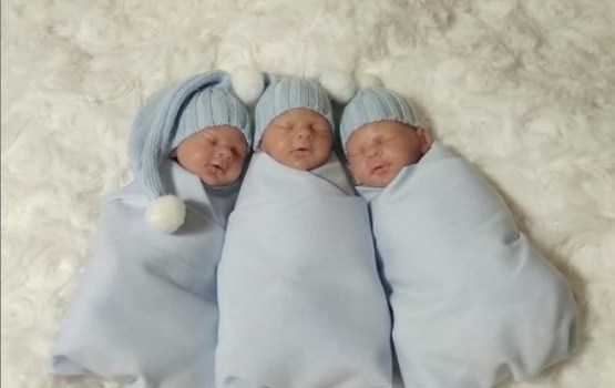 ���� ��������� ������� ������� �� ��������������