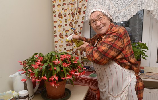 ����� � ������ ����� �� ������!