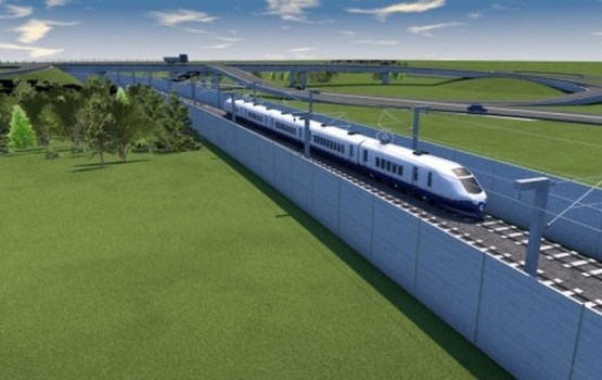 На пути Rail Baltica встали медведи, волки и другие препятствия