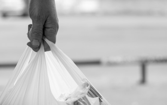 ����� ���� �������� �� ������ �������������� ������� � �������������