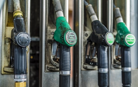 � ���� ����� ���� �� ������