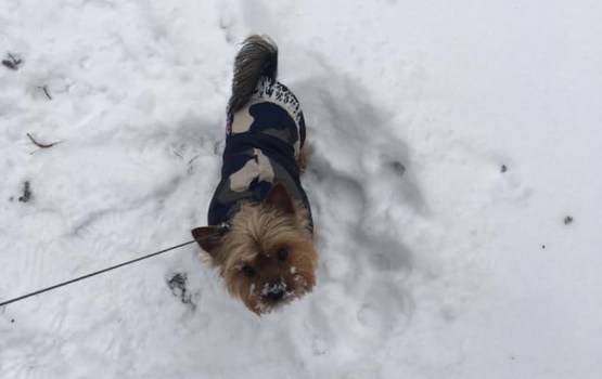 �� �������� ��� ������� ����� � �� 350 ����