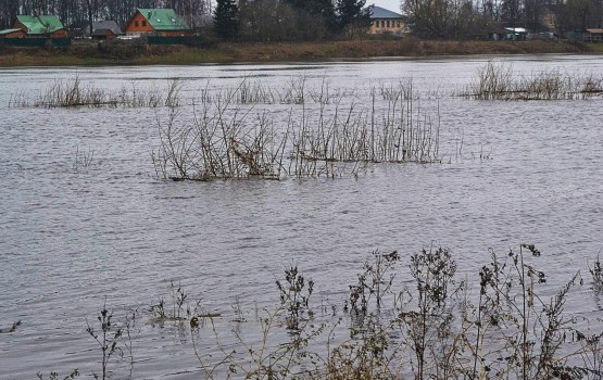 ����� ������ ������������� �����