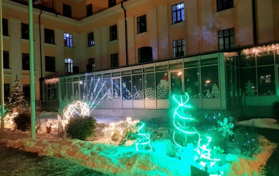 В Даугавпилсе появились вредители, уничтожающие украшения