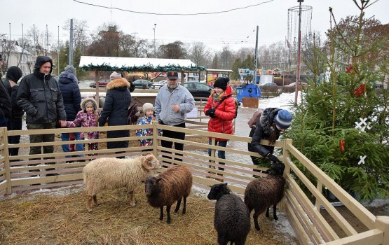 ��� �������� � �������� � �����������? (�����)