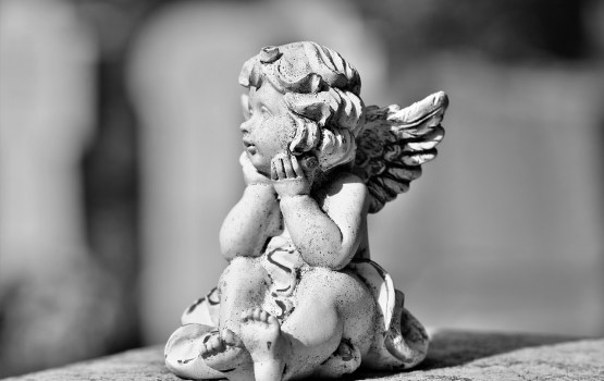 �������������� ����: ���������� ����� ��������� �����������