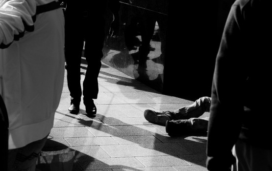 ����� �������� ���������� 23,3% ������� ������