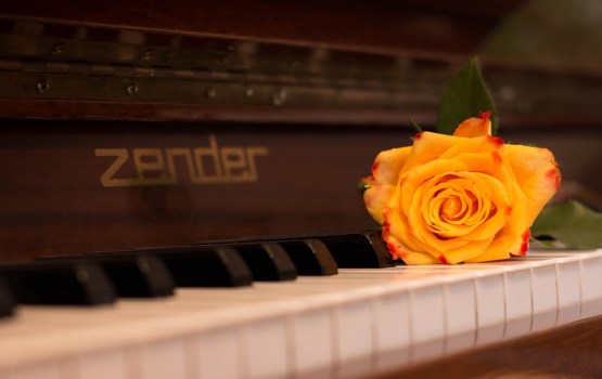 ����� ���������� ������� ����������� ���������