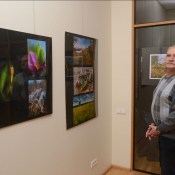 Видеть прекрасное во всем