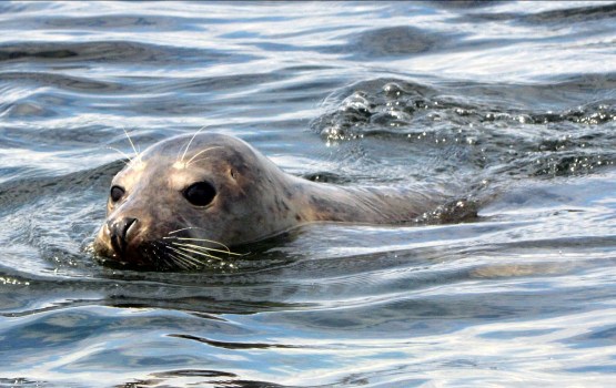 �� ���� ���������! � ���������� ������� ������ � ���� ���� ���������