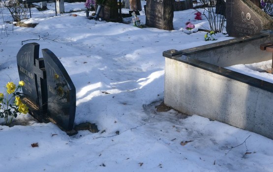 ������� �� ��������: ��� ����, �� ������?