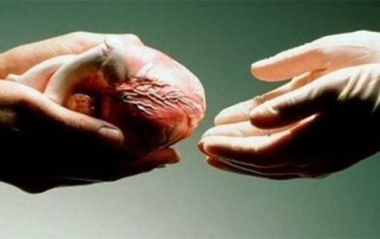 ������� �����, ��������!�: ������� ��������� �� ����� �� �������