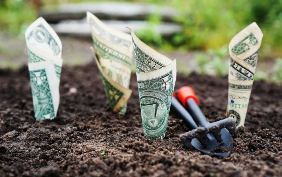 ������� ������ � ������� ���� ��������� 289 ��� ����