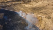 Латвия в огне: в субботу спасатели ликвидировали 69 поджогов старника (фото)