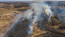 Латвия в огне: в субботу спасатели ликвидировали 69 поджогов старника (фото)