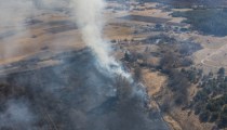 Латвия в огне: в субботу спасатели ликвидировали 69 поджогов старника (фото)