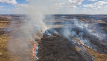 Латвия в огне: в субботу спасатели ликвидировали 69 поджогов старника (фото)