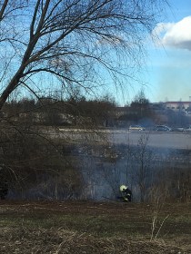 Латвия в огне: в субботу спасатели ликвидировали 69 поджогов старника (фото)