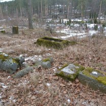 ������������� �������