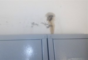 ����� � ������� �������� ����� �����!� (��������)