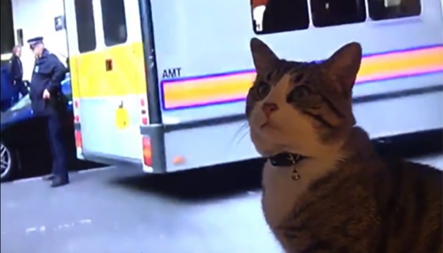 ����� �������� ������ ���� �������