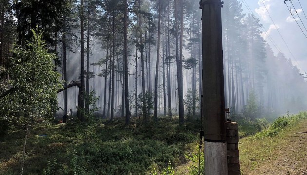 В лесах начинается пожароопасный период