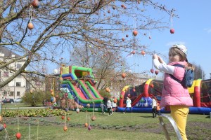 ���������� ����������� � ����������� (����)