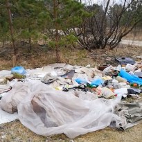 ���� ���� ���������� �� ������