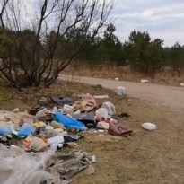 ���� ���� ���������� �� ������