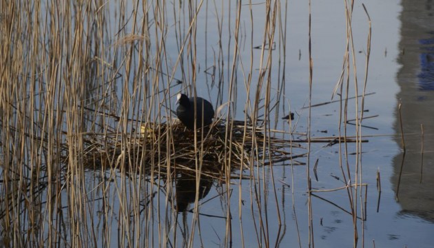 ���������� � ���������� ����� (����)