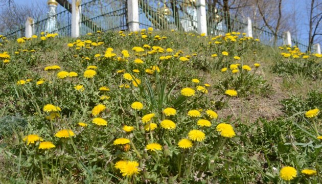 ���������� � ���������� ����� (����)