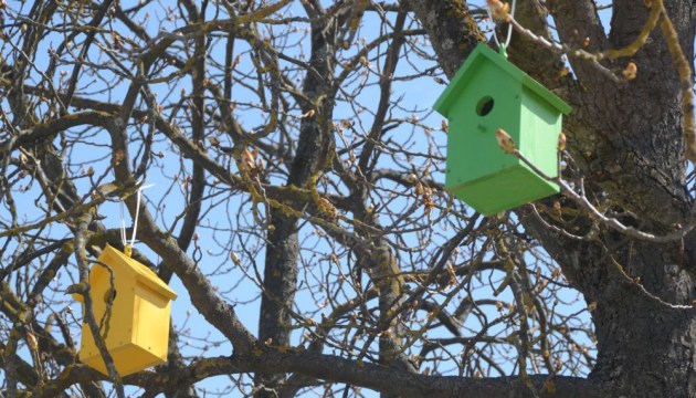 ���������� � ���������� ����� (����)