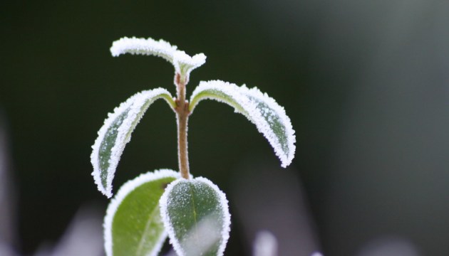 ����� ����������� � 1965 ���� ������ ������ ��� 6 ���