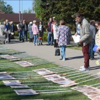 �� ������ ������ ������ ����������� ���� (����)